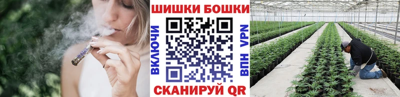 Канабис план  где можно купить   Грязовец 
